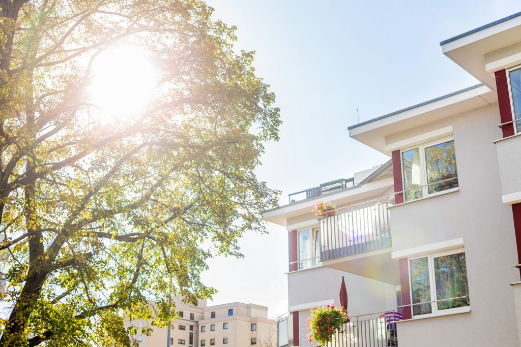 Sonnenlicht fällt durch die Blätter eines Baumes und wirft einen warmen Schein auf ein modernes Wohnhaus. Das Gebäude verfügt über Balkone mit Topfpflanzen und leuchtenden Blumen vor einem klaren blauen Himmel.